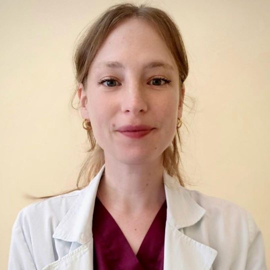 Dottori-12 Dottori-12